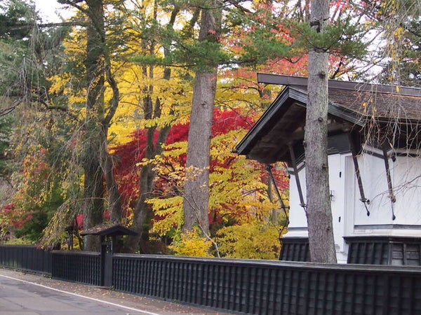 【旭川エリア発】 【北海道内発着】 北海道新幹線利用! 北東北紅葉のベストルート 十和田・八甲田・奥入瀬・田沢湖・角館と 八幡平アスピーテラインと男鹿半島3日間2